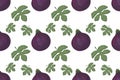 Seamless pattern with figs and fig leaves on a white background. For paper, covers, fabrics, gift wrapping, interior decoration. Royalty Free Stock Photo