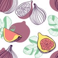 Seamless pattern of figs. Fruit, leaf and piece of fig. Vector hand drawn illustration set in modern trendy flat style Royalty Free Stock Photo