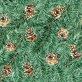 Seamless pattern of fir, pine branches and cones.