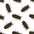 Seamless pattern with firefly beetle Lampyridae. photinus pyralis. firefly .Vector