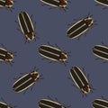 Seamless pattern with firefly beetle Lampyridae. photinus pyralis. hand-drawn firefly . Royalty Free Stock Photo