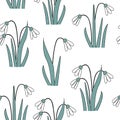 Seamless pattern with the first spring flowers . Vector illustration with graphic snowdrops Royalty Free Stock Photo