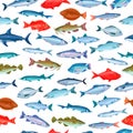 Seamless pattern with fish Royalty Free Stock Photo