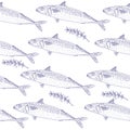 Seamless pattern of fish mackerel and thyme, hand drawn. Can be used for packaging, menu, restaurant and cafe, market and etc. Royalty Free Stock Photo