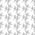 Seamless pattern with Fish mint Houttuynia cordata