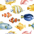 Seamless pattern with fish. Watercolor illustration. Nautical background for wallpaper, textile design, covers, paper