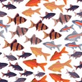 Seamless pattern fishes aquarium. Royalty Free Stock Photo