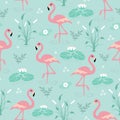 Seamless pattern flamingo Royalty Free Stock Photo