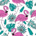 Seamless pattern with flamingo. Hand drawn vector tropical elements on white background