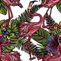 Seamless pattern with flamingo . Royalty Free Stock Photo