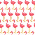 Seamless pattern with flamingos on a light background. Lovely pink birds with long legs. Hand drawn illustration in flat style. Royalty Free Stock Photo