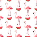 Seamless pattern with flamingos and watermelons Royalty Free Stock Photo