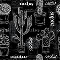 Seamless pattern with flat chalk board black and white illustration of succulent plants and cactuses in pots.