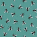 Seamless pattern with flies Royalty Free Stock Photo