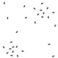 Seamless pattern from flock of flies on a white background Royalty Free Stock Photo