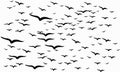 Seamless pattern of a flock of flying birds Royalty Free Stock Photo