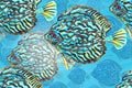 Seamless pattern with a flock of tropical fish. Royalty Free Stock Photo