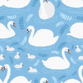 Seamless pattern with flock of white swans and cygnets floating in water, pond or lake. Backdrop with adorable wild
