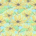 Seamless pattern floral chamomiles, Autumn flowers feverfew wallpaper, Hand-drawn daisies Royalty Free Stock Photo