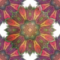 Seamless pattern with floral ornament. Round kaleidoscope and