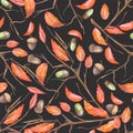 A seamless pattern with a floral ornament of the watercolor forest oak acorns and red autumn leaves on the branches Royalty Free Stock Photo