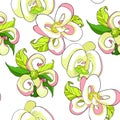 Seamless pattern with Florida dogwood flower vector illustrati