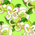 Seamless pattern with Florida dogwood flower vector illustrati
