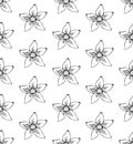 Seamless pattern flower art line. Sakura or Apple blossoms in vector isolated on white background. Spring flowers drawn in black Royalty Free Stock Photo