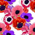 Seamless pattern flower bloom japanese anemone. vector illustration