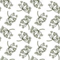 seamless pattern with flower of galbanum