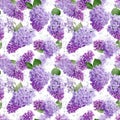 Seamless pattern flower purple lilac on white background. Ai generative Royalty Free Stock Photo