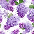 Seamless pattern flower purple lilac on white background. Ai generative Royalty Free Stock Photo