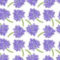 seamless pattern with flower of water hyacinth