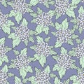 Seamless pattern of flowering branches of an ornamental shrub with small white flowers.