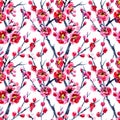 Seamless pattern of flowering branches of wild plum meihua on a white background Royalty Free Stock Photo