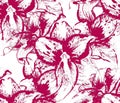 Seamless pattern with flowers of amaryllis