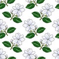 seamless pattern with flowers of arabian jasmine