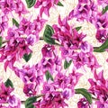 Seamless pattern with flowers of bougainvillea