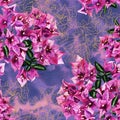 Seamless pattern with flowers of bougainvillea