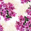 Seamless pattern with flowers of bougainvillea