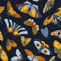 Seamless pattern of flowers and butterflies