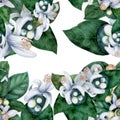 Seamless pattern. Flowers and leaves of orange tree fruit. Royalty Free Stock Photo