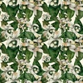 Seamless pattern. Flowers and leaves of orange tree fruit. Royalty Free Stock Photo