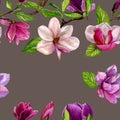 Seamless pattern with flowers of magnolia. Royalty Free Stock Photo