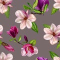 Seamless pattern with flowers of magnolia. Royalty Free Stock Photo