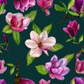 Seamless pattern with flowers of magnolia. Royalty Free Stock Photo