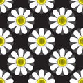 Seamless pattern flowers ornament on black background. Vector image Royalty Free Stock Photo