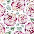 Seamless pattern with flowers peonies, roses, eucalyptus leaves, dew drops. Handmade watercolor illustration. Design for wedding Royalty Free Stock Photo