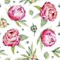 Seamless pattern with flowers peonies, roses, eucalyptus leaves, dew drops. Handmade watercolor illustration. Design for wedding Royalty Free Stock Photo