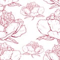 Seamless pattern of flowers peonies on a white background.